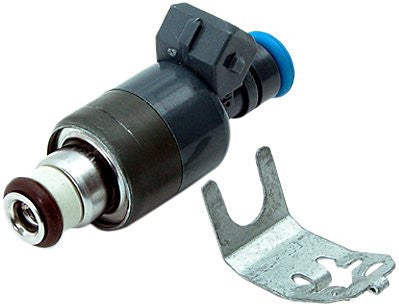 Delphi FJ10058 Fuel Injector